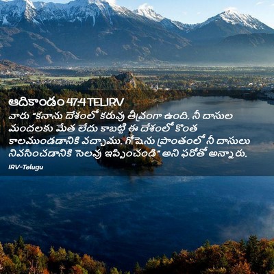 Picture 02 - ఆదికాండం 47:4 TELIRV - వారు “కనాను - Bible Verse Picture