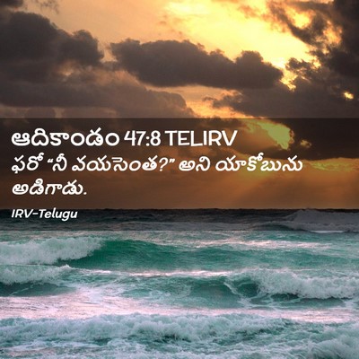 Picture 02 - ఆదికాండం 47:8 TELIRV - ఫరో “నీ వయసెంత?” - Bible Verse Picture