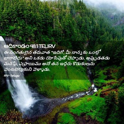Picture 02 - ఆదికాండం 48:1 TELIRV - ఈ సంగతులైన తరువాత - Bible Verse Picture