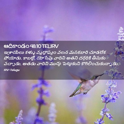 Picture 02 - ఆదికాండం 48:10 TELIRV - ఇశ్రాయేలు కళ్ళు - Bible Verse Picture