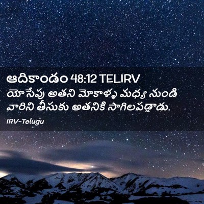Picture 02 - ఆదికాండం 48:12 TELIRV - యోసేపు అతని - Bible Verse Picture