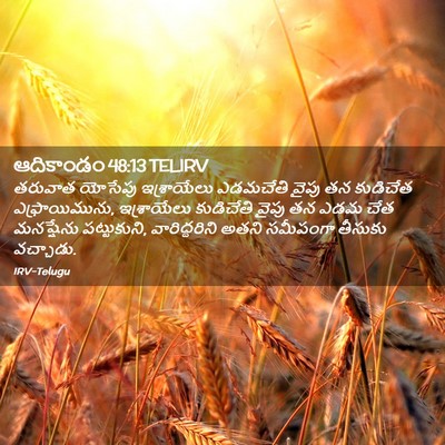Picture 02 - ఆదికాండం 48:13 TELIRV - తరువాత యోసేపు - Bible Verse Picture