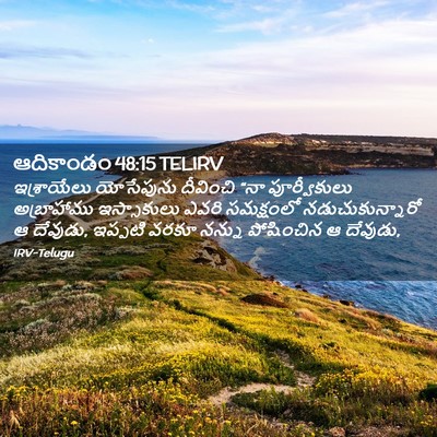 Picture 02 - ఆదికాండం 48:15 TELIRV - ఇశ్రాయేలు - Bible Verse Picture