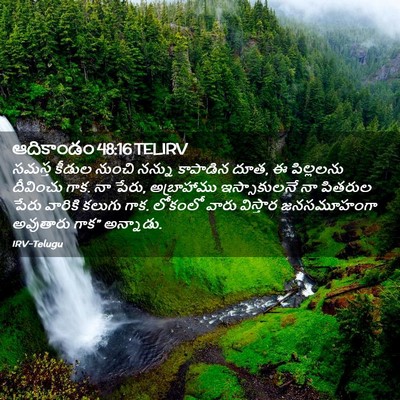 Picture 02 - ఆదికాండం 48:16 TELIRV - సమస్త కీడుల నుంచి - Bible Verse Picture