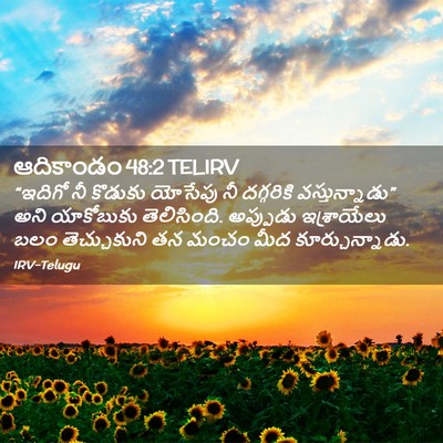Picture 02 - ఆదికాండం 48:2 TELIRV - “ఇదిగో నీ కొడుకు - Bible Verse Picture