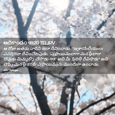 Picture 02 - ఆదికాండం 48:20 TELIRV - ఆ రోజు అతడు వారిని - Bible Verse Picture