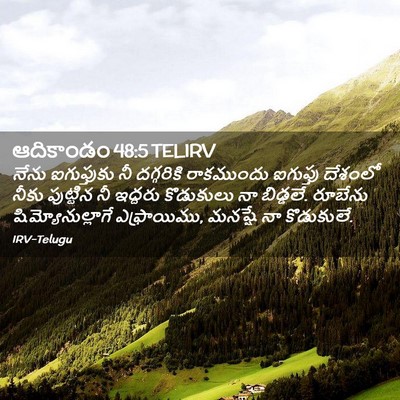 Picture 02 - ఆదికాండం 48:5 TELIRV - నేను ఐగుప్తుకు నీ - Bible Verse Picture