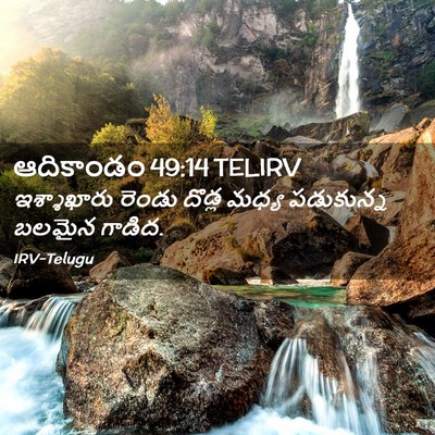 Picture 02 - ఆదికాండం 49:14 TELIRV - ఇశ్శాఖారు రెండు - Bible Verse Picture