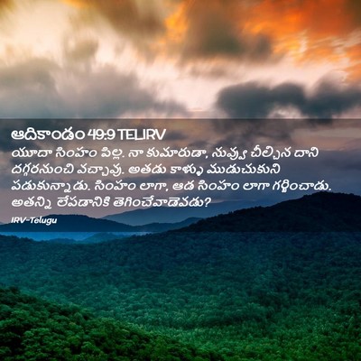 Picture 02 - ఆదికాండం 49:9 TELIRV - యూదా సింహం పిల్ల. - Bible Verse Picture
