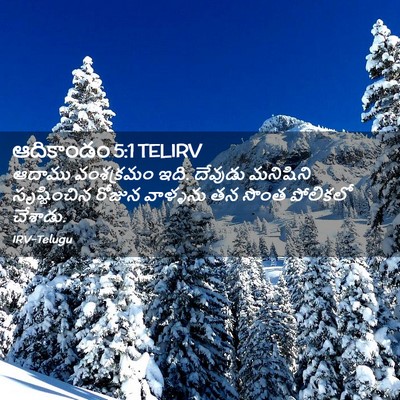 Picture 02 - ఆదికాండం 5:1 TELIRV - ఆదాము వంశక్రమం - Bible Verse Picture