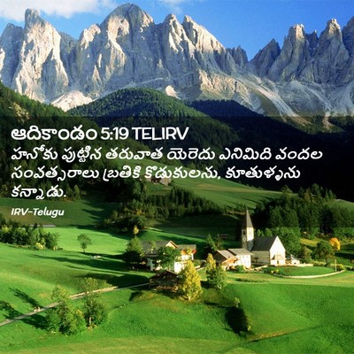 Picture 02 - ఆదికాండం 5:19 TELIRV - హనోకు పుట్టిన - Bible Verse Picture
