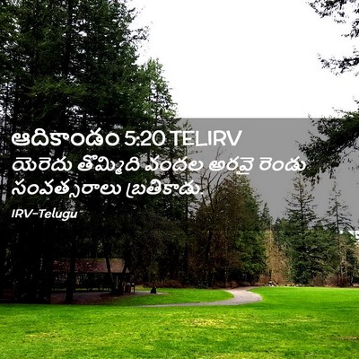 Picture 02 - ఆదికాండం 5:20 TELIRV - యెరెదు తొమ్మిది - Bible Verse Picture