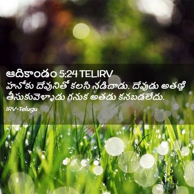 Picture 02 - ఆదికాండం 5:24 TELIRV - హనోకు దేవునితో - Bible Verse Picture