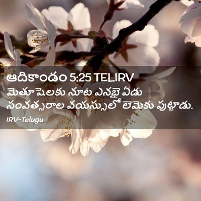 Picture 02 - ఆదికాండం 5:25 TELIRV - మెతూషెలకు నూట - Bible Verse Picture