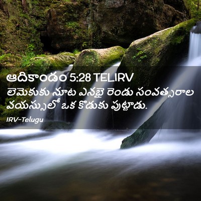 Picture 02 - ఆదికాండం 5:28 TELIRV - లెమెకుకు నూట ఎనభై - Bible Verse Picture
