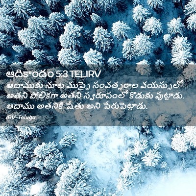 Picture 02 - ఆదికాండం 5:3 TELIRV - ఆదాముకు నూట - Bible Verse Picture