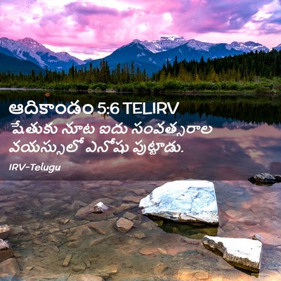 Picture 02 - ఆదికాండం 5:6 TELIRV - షేతుకు నూట ఐదు - Bible Verse Picture