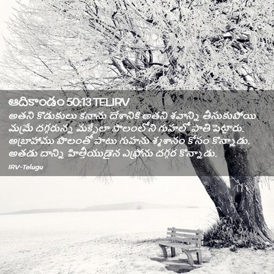 Picture 02 - ఆదికాండం 50:13 TELIRV - అతని కొడుకులు - Bible Verse Picture