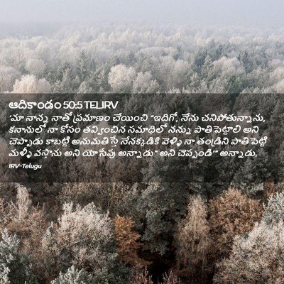 Picture 02 - ఆదికాండం 50:5 TELIRV - ‘మా నాన్న నాతో - Bible Verse Picture