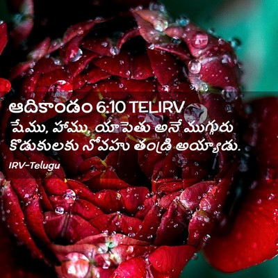 Picture 02 - ఆదికాండం 6:10 TELIRV - షేము, హాము, యాపెతు - Bible Verse Picture