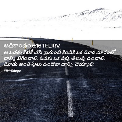 Picture 02 - ఆదికాండం 6:16 TELIRV - ఆ ఓడకు కిటికీ చేసి - Bible Verse Picture