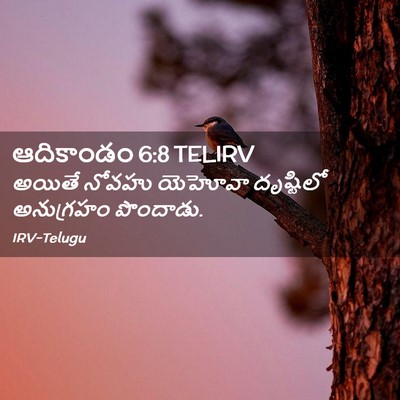 Picture 02 - ఆదికాండం 6:8 TELIRV - అయితే నోవహు - Bible Verse Picture