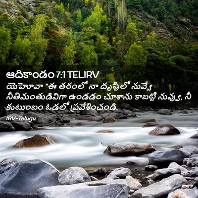 Picture 02 - ఆదికాండం 7:1 TELIRV - యెహోవా “ఈ తరంలో నా - Bible Verse Picture