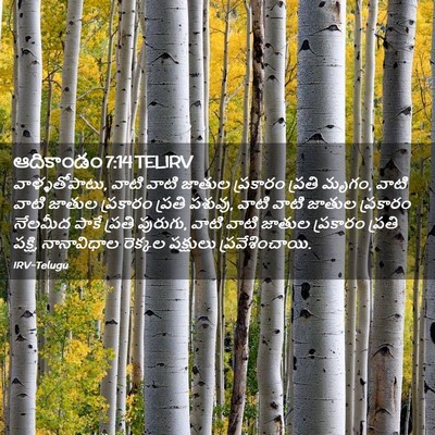 Picture 02 - ఆదికాండం 7:14 TELIRV - వాళ్ళతోపాటు, వాటి - Bible Verse Picture