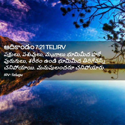 Picture 02 - ఆదికాండం 7:21 TELIRV - పక్షులు, పశువులు, - Bible Verse Picture