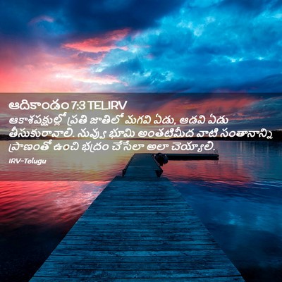 Picture 02 - ఆదికాండం 7:3 TELIRV - ఆకాశపక్షుల్లో - Bible Verse Picture