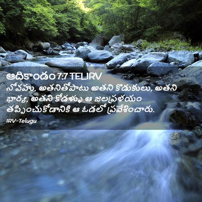 Picture 02 - ఆదికాండం 7:7 TELIRV - నోవహు, అతనితోపాటు - Bible Verse Picture