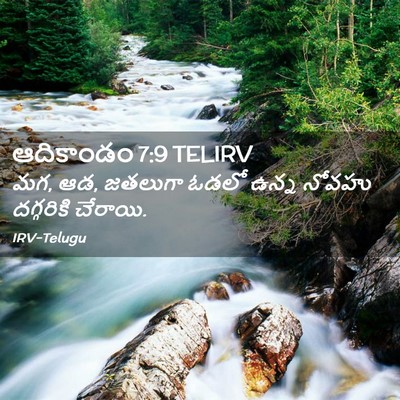 Picture 02 - ఆదికాండం 7:9 TELIRV - మగ, ఆడ, జతలుగా ఓడలో - Bible Verse Picture