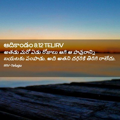 Picture 02 - ఆదికాండం 8:12 TELIRV - అతడు మరో ఏడు - Bible Verse Picture