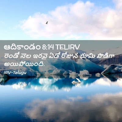 Picture 02 - ఆదికాండం 8:14 TELIRV - రెండో నెల ఇరవై ఏడో - Bible Verse Picture