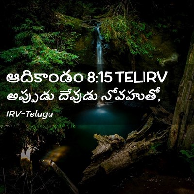 Picture 02 - ఆదికాండం 8:15 TELIRV - అప్పుడు దేవుడు - Bible Verse Picture