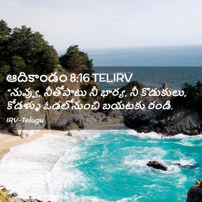 Picture 02 - ఆదికాండం 8:16 TELIRV - “నువ్వు, నీతోపాటు - Bible Verse Picture