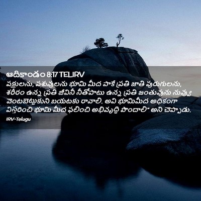 Picture 02 - ఆదికాండం 8:17 TELIRV - పక్షులను, - Bible Verse Picture