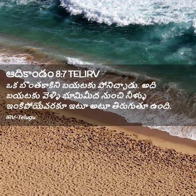 Picture 02 - ఆదికాండం 8:7 TELIRV - ఒక బొంతకాకిని - Bible Verse Picture