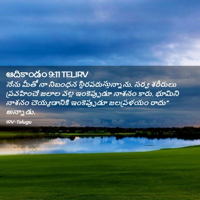 Picture 02 - ఆదికాండం 9:11 TELIRV - నేను మీతో నా - Bible Verse Picture