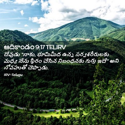 Picture 02 - ఆదికాండం 9:17 TELIRV - దేవుడు “నాకు, - Bible Verse Picture