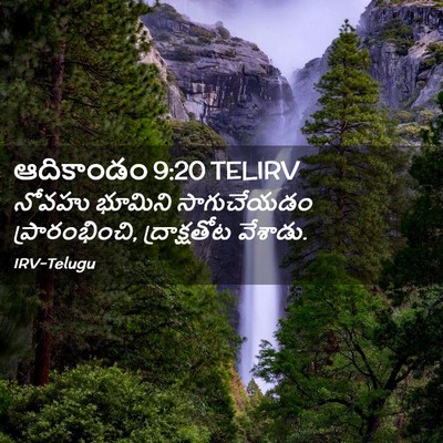 Picture 02 - ఆదికాండం 9:20 TELIRV - నోవహు భూమిని - Bible Verse Picture