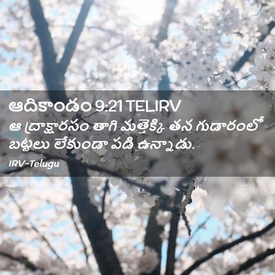 Picture 02 - ఆదికాండం 9:21 TELIRV - ఆ ద్రాక్షారసం - Bible Verse Picture