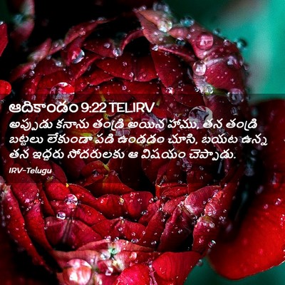 Picture 02 - ఆదికాండం 9:22 TELIRV - అప్పుడు కనాను - Bible Verse Picture