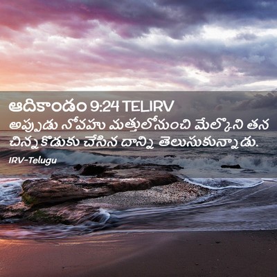 Picture 02 - ఆదికాండం 9:24 TELIRV - అప్పుడు నోవహు - Bible Verse Picture