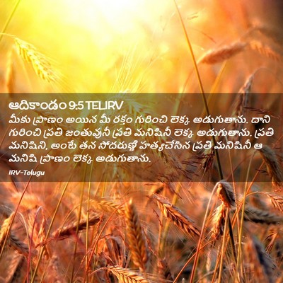 Picture 02 - ఆదికాండం 9:5 TELIRV - మీకు ప్రాణం అయిన - Bible Verse Picture