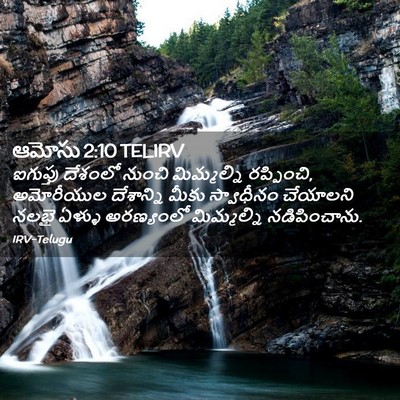 Picture 02 - ఆమోసు 2:10 TELIRV - ఐగుప్తు దేశంలో - Bible Verse Picture