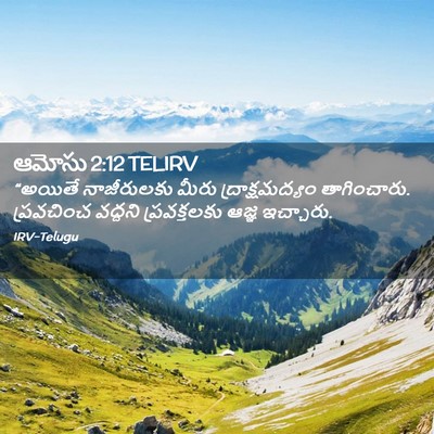 Picture 02 - ఆమోసు 2:12 TELIRV - “అయితే నాజీరులకు - Bible Verse Picture