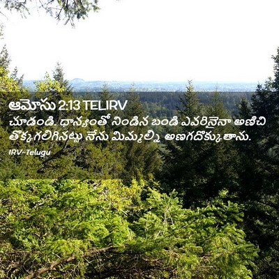 Picture 02 - ఆమోసు 2:13 TELIRV - చూడండి. ధాన్యంతో - Bible Verse Picture