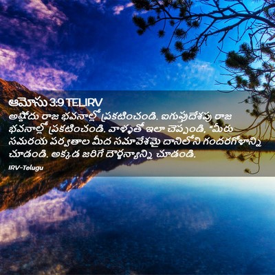 Picture 02 - ఆమోసు 3:9 TELIRV - అష్డోదు రాజ - Bible Verse Picture