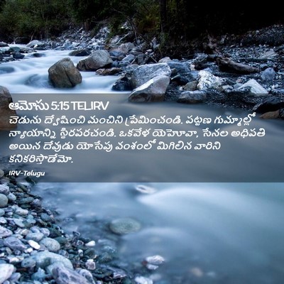 Picture 02 - ఆమోసు 5:15 TELIRV - చెడును ద్వేషించి - Bible Verse Picture